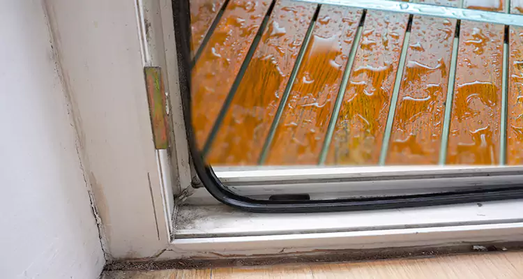 Water Leaking Wooden Patio Doors Repair in Palm Coast, FL